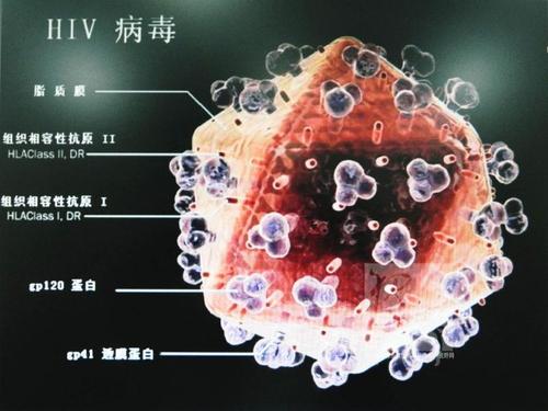 艾滋病圖片大全