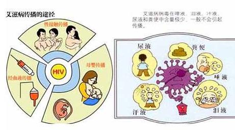 艾滋病傳播途徑